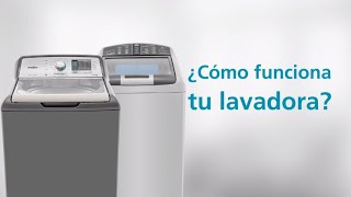 imagen de whatsapp 2025 12 01 a las 21.02.36 67836d65